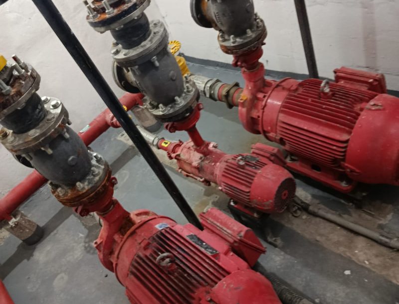 WhatsApp Image 2025-10-18 at 04.07.34